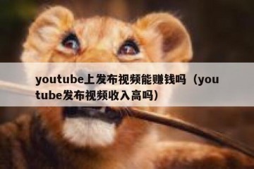 youtube上发布视频能赚钱吗（youtube发布视频收入高吗）