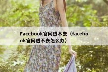 Facebook官网进不去（facebook官网进不去怎么办）