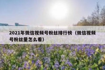 2021年微信视频号粉丝排行榜（微信视频号粉丝量怎么看）