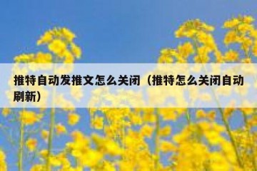 推特自动发推文怎么关闭（推特怎么关闭自动刷新）