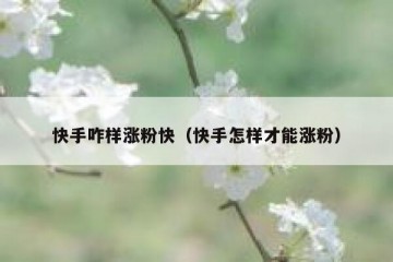 快手咋样涨粉快（快手怎样才能涨粉）