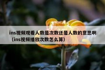 ins视频观看人数是次数还是人数的意思啊（ins视频播放次数怎么算）