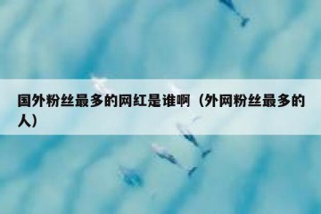 国外粉丝最多的网红是谁啊（外网粉丝最多的人）