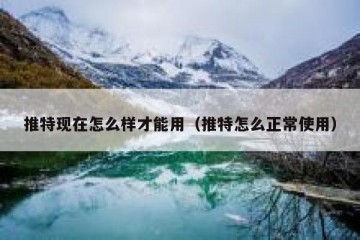 推特现在怎么样才能用（推特怎么正常使用）