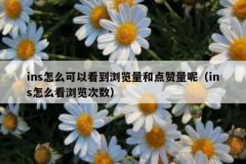 ins怎么可以看到浏览量和点赞量呢（ins怎么看浏览次数）