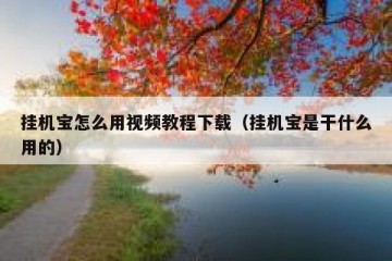 挂机宝怎么用视频教程下载（挂机宝是干什么用的）