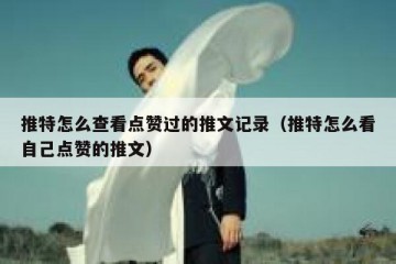 推特怎么查看点赞过的推文记录（推特怎么看自己点赞的推文）