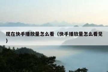 现在快手播放量怎么看（快手播放量怎么看见）