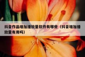 抖音作品增加播放量软件有哪些（抖音增加播放量有用吗）