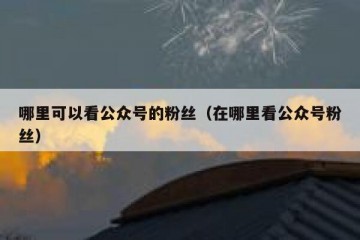哪里可以看公众号的粉丝（在哪里看公众号粉丝）