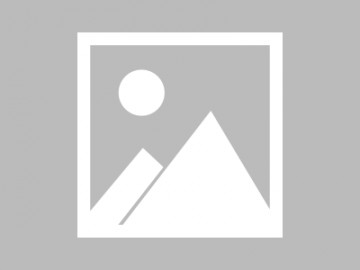 全国限号查询系统山东（山东限号查询官网）