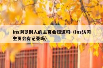 ins浏览别人的主页会知道吗（ins访问主页会有记录吗）