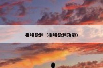 推特盈利（推特盈利功能）