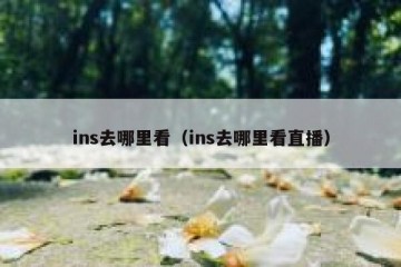 ins去哪里看（ins去哪里看直播）