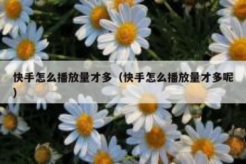 快手怎么播放量才多（快手怎么播放量才多呢）