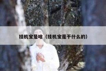 挂机宝是啥（挂机宝是干什么的）