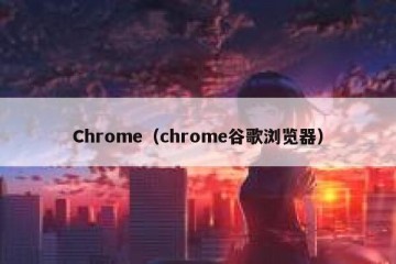 Chrome（chrome谷歌浏览器）