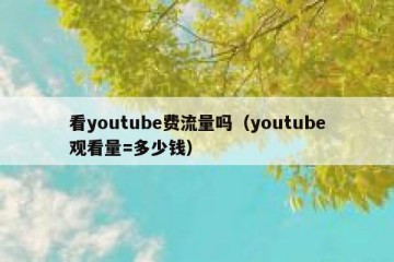看youtube费流量吗（youtube观看量=多少钱）