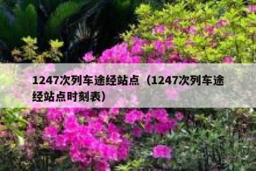 1247次列车途经站点（1247次列车途经站点时刻表）