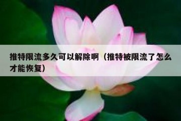 推特限流多久可以解除啊（推特被限流了怎么才能恢复）