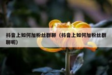 抖音上如何加粉丝群聊（抖音上如何加粉丝群聊呢）