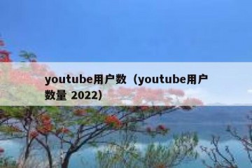 youtube用户数（youtube用户数量 2022）