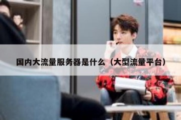 国内大流量服务器是什么（大型流量平台）