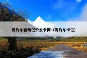 网约车辅助低价发卡网（网约车卡位）