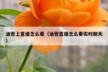 油管上直播怎么看（油管直播怎么看实时聊天）