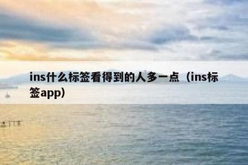 ins什么标签看得到的人多一点（ins标签app）