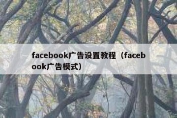 facebook广告设置教程（facebook广告模式）