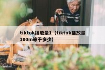 tiktok播放量1（tiktok播放量100m等于多少）
