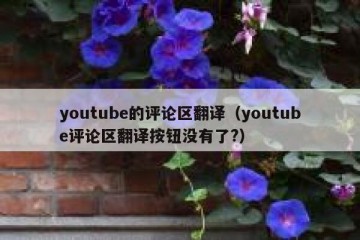 youtube的评论区翻译（youtube评论区翻译按钮没有了?）
