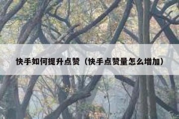 快手如何提升点赞（快手点赞量怎么增加）