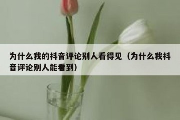 为什么我的抖音评论别人看得见（为什么我抖音评论别人能看到）