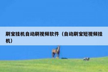 刷宝挂机自动刷视频软件（自动刷宝短视频挂机）