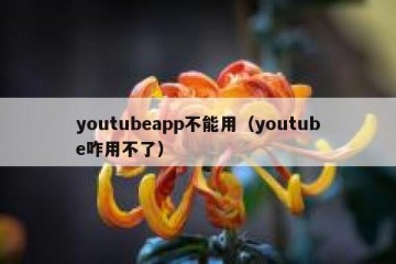 youtubeapp不能用（youtube咋用不了）