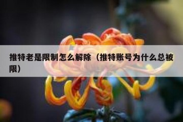 推特老是限制怎么解除（推特账号为什么总被限）