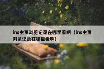 ins主页浏览记录在哪里看啊（ins主页浏览记录在哪里看啊）