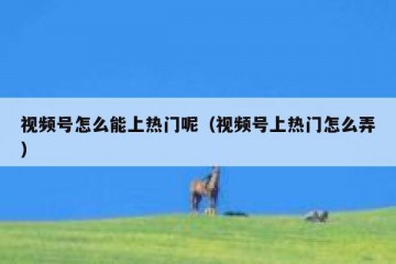 视频号怎么能上热门呢（视频号上热门怎么弄）