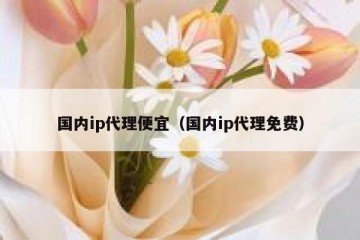 国内ip代理便宜（国内ip代理免费）