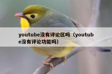 youtube没有评论区吗（youtube没有评论功能吗）