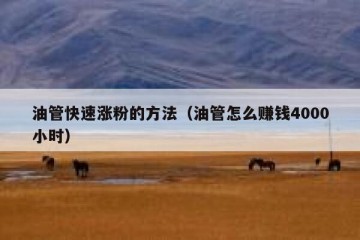 油管快速涨粉的方法（油管怎么赚钱4000小时）