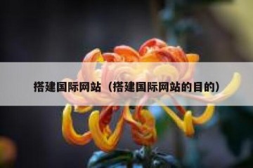 搭建国际网站（搭建国际网站的目的）