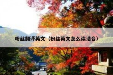 粉丝翻译英文（粉丝英文怎么读谐音）