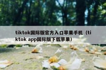 tiktok国际版官方入口苹果手机（tiktok app国际版下载苹果）