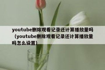 youtube删除观看记录还计算播放量吗（youtube删除观看记录还计算播放量吗怎么设置）