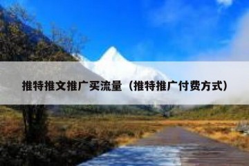 推特推文推广买流量（推特推广付费方式）