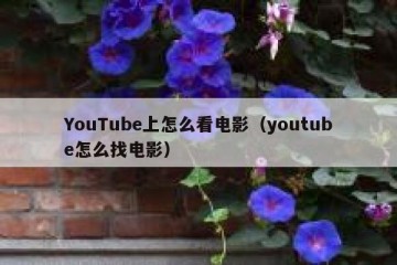 YouTube上怎么看电影（youtube怎么找电影）