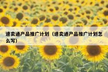 速卖通产品推广计划（速卖通产品推广计划怎么写）